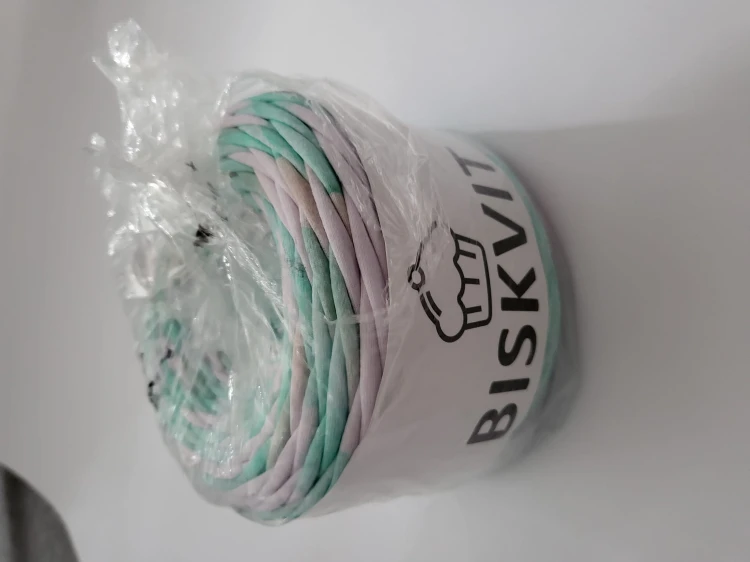 Biskvit sorbet miętowy.jpg